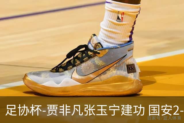 足协杯-贾非凡张玉宁建功 国安2-1大连可为晋级8强